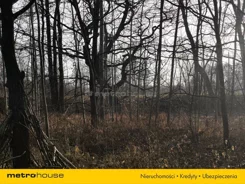 SGLEVO445 - zdjęcie nr 4