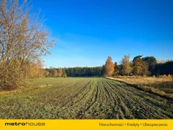 SGZATI599 - zdjęcie nr 4