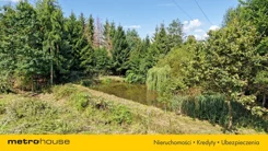 SGMERY813 - zdjęcie nr 3
