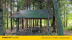 SGMERY813 - zdjęcie nr 4