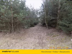 XEBE646 - zdjęcie nr 0