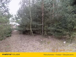 XEBE646 - zdjęcie nr 2