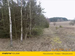 XEBE646 - zdjęcie nr 3