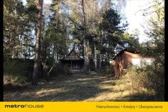 DAGU809 - zdjęcie nr 3