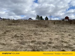 SGVOFO445 - zdjęcie nr 4