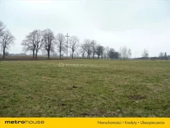 ZOPO321 - zdjęcie nr 0