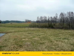 ZOPO321 - zdjęcie nr 4