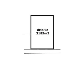 ZELE393 - zdjęcie nr 3