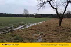 ZUPA869 - zdjęcie nr 3
