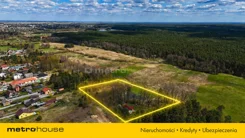 SGLOTI764 - zdjęcie nr 3