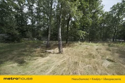 DOJE926 - zdjęcie nr 2