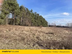 REBE704 - zdjęcie nr 0