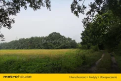 REBE704 - zdjęcie nr 4