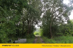 REBE704 - zdjęcie nr 5