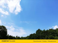 KOLE499 - zdjęcie nr 0