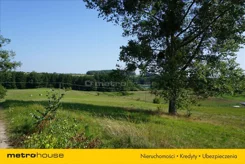 MOZI378 - zdjęcie nr 4