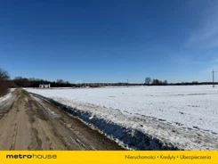 SGBUBY753 - zdjęcie nr 3