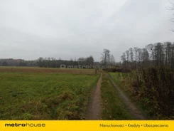 LAMU124 - zdjęcie nr 3