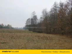 RIRA313 - zdjęcie nr 4