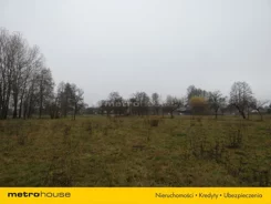 XYPI194 - zdjęcie nr 2