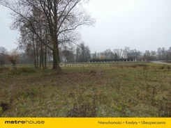 XYPI194 - zdjęcie nr 3