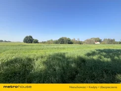 SGLOPA510 - zdjęcie nr 3