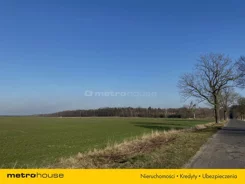 SGZACA586 - zdjęcie nr 2