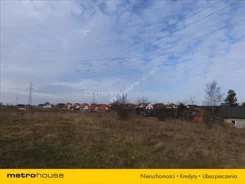 KUNO137 - zdjęcie nr 2