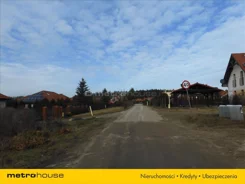 KUNO137 - zdjęcie nr 3