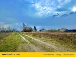 SGLIJU824 - zdjęcie nr 3