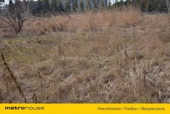 RETE883 - zdjęcie nr 3