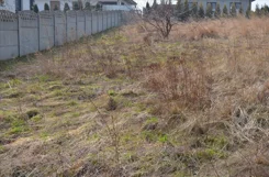 RETE883 - zdjęcie nr 4