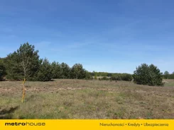 SGVENA164 - zdjęcie nr 4