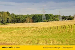 PUJY817 - zdjęcie nr 0