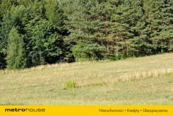 PUJY817 - zdjęcie nr 3