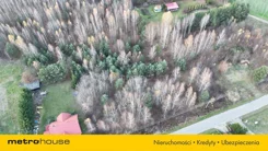 SGPIVO230 - zdjęcie nr 2