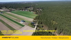 SGJOSU769 - zdjęcie nr 2