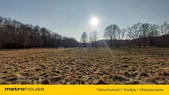 SGTUKU270 - zdjęcie nr 3