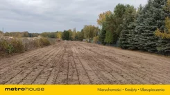 SGDENO441 - zdjęcie nr 1