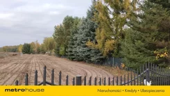 SGDENO441 - zdjęcie nr 2