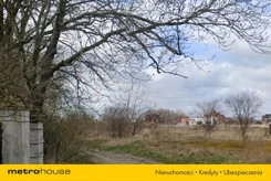 ZEXA571 - zdjęcie nr 3