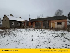 SOZORY824 - zdjęcie nr 0