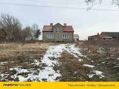 SOZORY824 - zdjęcie nr 2