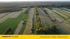 SOJAKO493 - zdjęcie nr 2