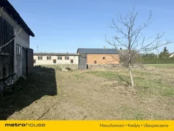 SOJODA577 - zdjęcie nr 1