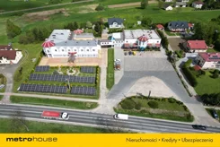 SOZURI519 - zdjęcie nr 0