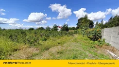 SOROBU781 - zdjęcie nr 0