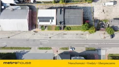 SOLOHA949 - zdjęcie nr 4
