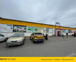 WLVOZA426 - zdjęcie nr 3