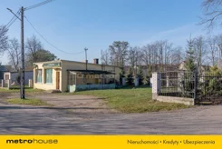 SLBOLA381 - zdjęcie nr 2
